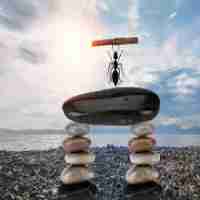 精‍准‌web安‌全​工‍具﻿是‍什​么﻿软﻿件‍